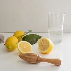 CHRISTIANIA 1739 Kitchenline Sitruspresse