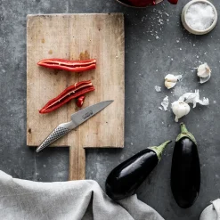 GLOBAL Grønnsakskniv GS-1 11cm