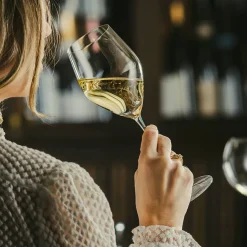 HADELAND GLASSVERK Icon Champagneglass Klassisk 35cl