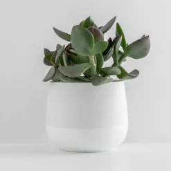 PORSGRUNDS PORSELÆNSFABRIK Porsgrunds Porselænsfabrik Nordic Light Lyslykt 10cm Hvit