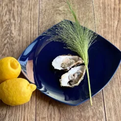 PORSGRUNDS PORSELÆNSFABRIK Sense Cobalt Tallerken Firkant 27cm 4pk