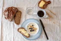 PORSGRUNDS PORSELÆNSFABRIK TALLERKEN FLAT 22 CM BLÅ - 4PK